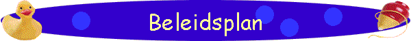 Beleidsplan